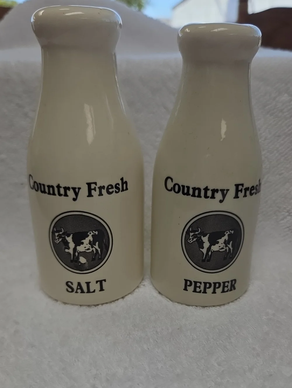 Ceramic Salt & Pepper Shakers